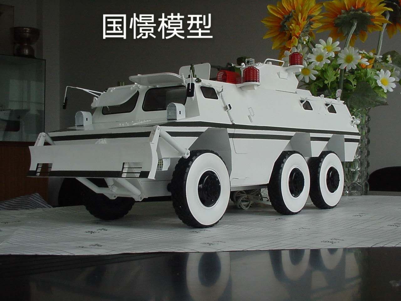 砀山县军事模型