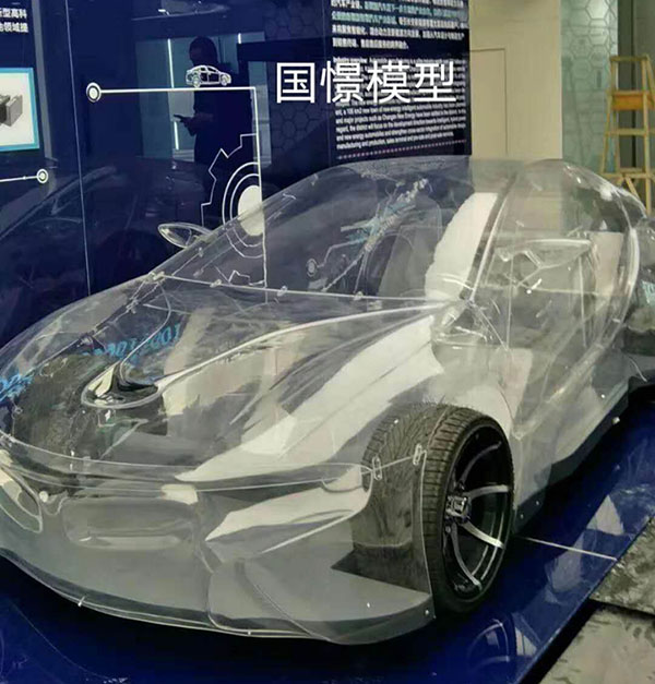砀山县透明车模型